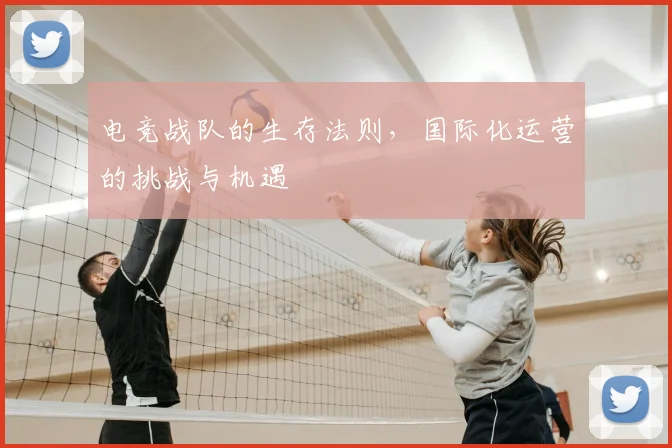 电竞战队的生存法则,国际化运营的挑战与机遇