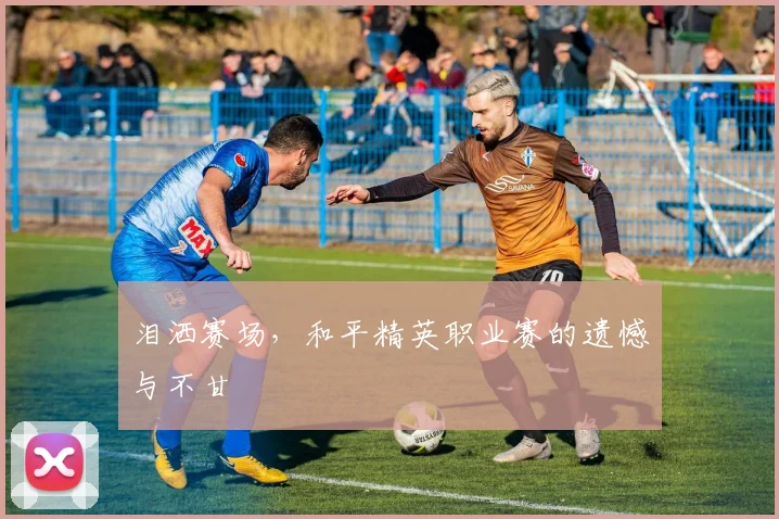 泪洒赛场，和平精英职业赛的遗憾与不甘